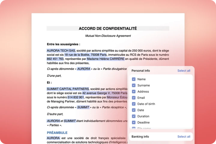 Anonymisation options: personal and banking information masked in a document